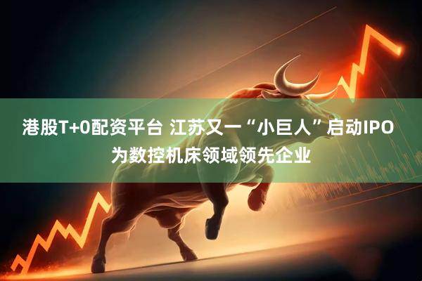 港股T+0配资平台 江苏又一“小巨人”启动IPO 为数控机床领域领先企业