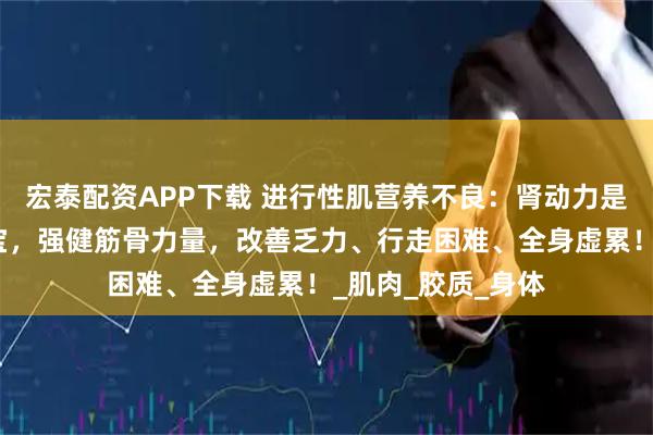 宏泰配资APP下载 进行性肌营养不良：肾动力是关键！杜仲搭一宝，强健筋骨力量，改善乏力、行走困难、全身虚累！_肌肉_胶质_身体